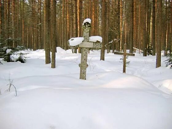Полигон нии 9 санкт петербург. Полигон нии 9. заброшенный полигон нии 9. безымянный крест под березкой на горе.