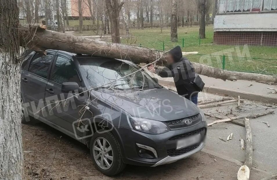 Сравните три ситуации ураганный ветер валит. Сильный ветер. Норд-ост в новороссийске 2023. Сравните три ситуации ураганный ветер валит. Сравните три ситуации ураганный ветер валит.