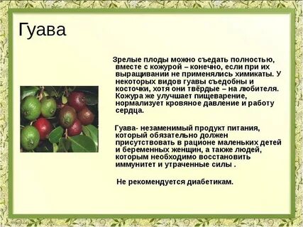 Гуава фрукт польза