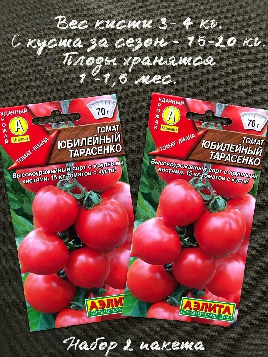 Юбилейный тарасенко описание сорта. Юбилейный тарасенко семена помидор. сорт томата юбилейный тарасенко. сорт помидоров юбилейный тарасенко.