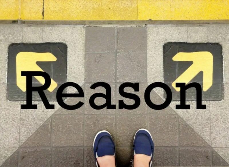 Are one of the main reason. Reason. reason логотип. reason слово. reason надпись.