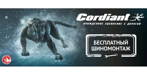 Кордиант карьера