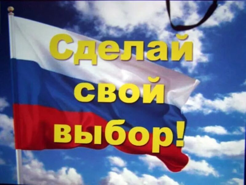 Первые дни выборов. Поздравления с днём выборов. Картинки к выборам. Картинки о выборах. С днем выборов картинки.