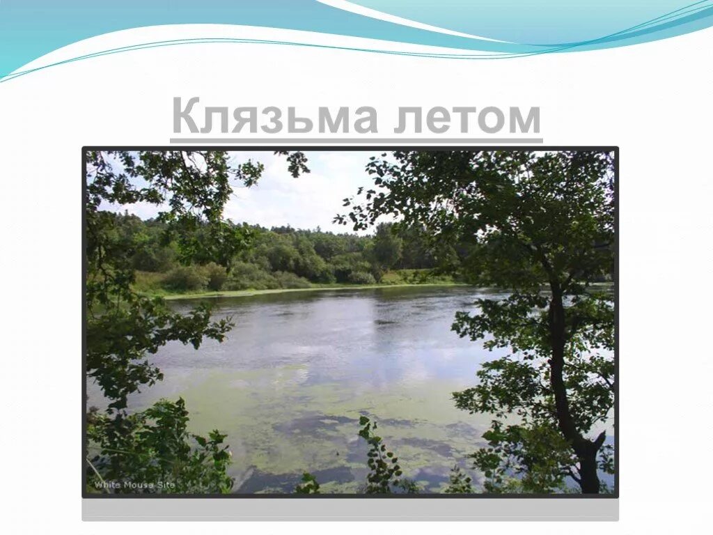 Тип текста река клязьма вьется прохладной. Река клязьма во владимирской области 4 класс. река клязьма окружающий мир. исток реки клязьма. клязьма летом.