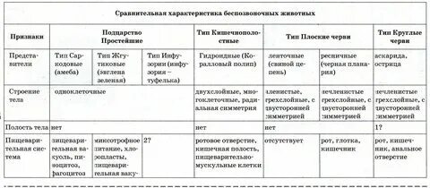 Типы позвоночных животных таблица Органы кровообращения животных таблица найдено 88 фотографий