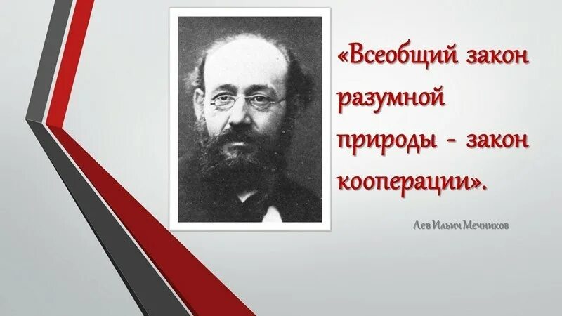 Лозунги кооперации. Кооперация плакат. Высказывания о кооперировании. Указ о кооперации. Закон о кооперации рф