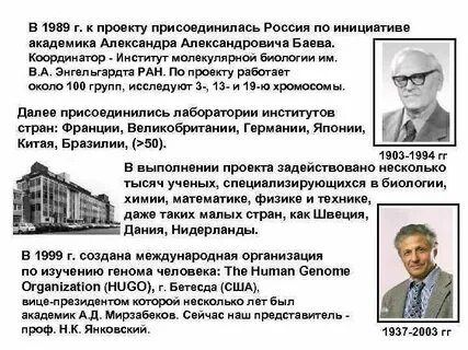 Ценный проект геншин
