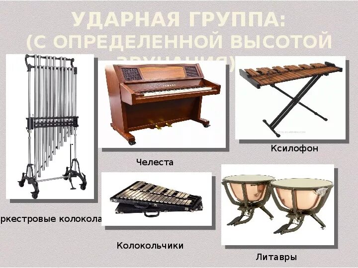 Ударный инструмент не имеющий определенной высоты звука. Ударный инструмент не имеющий определенной высоты звука