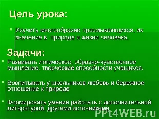 Каковы причины многообразия видов в природе
