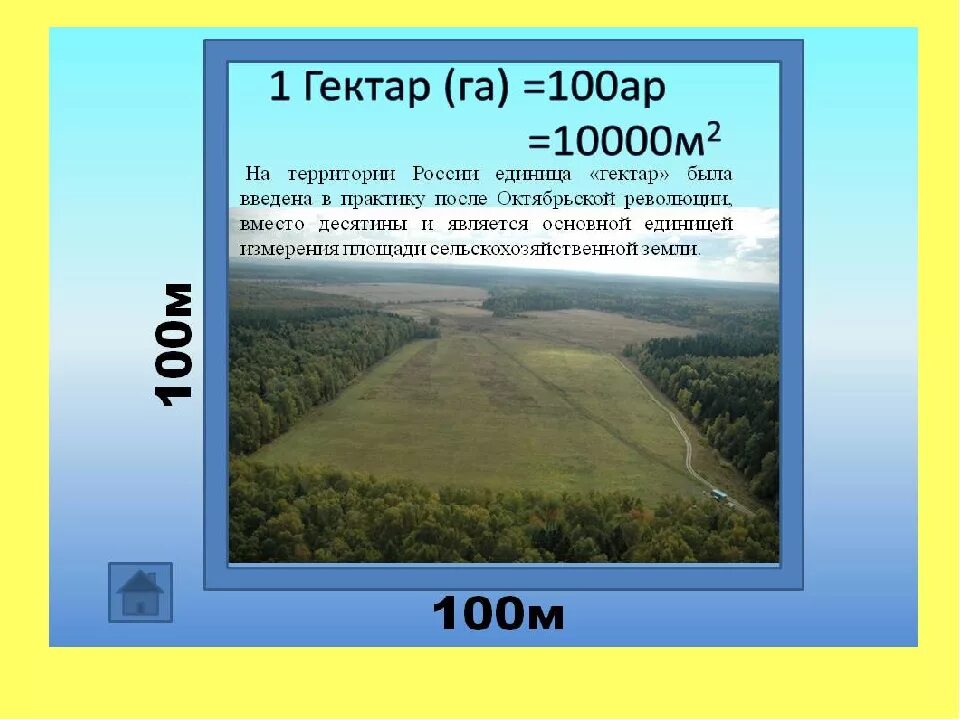 0 1 кв км. Сколько квадратных метров в 1 гектаре. 100 Метров на 100 метров сколько гектар. Размеры 1 гектара в метрах квадратных. Площадь одного гектара в метрах квадратных.