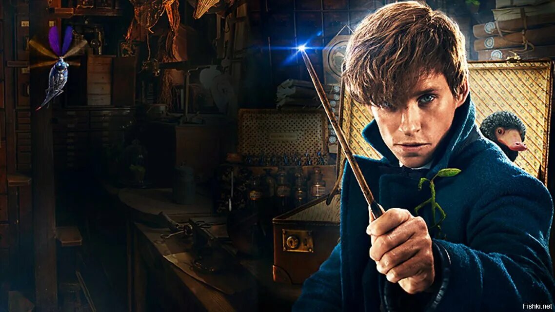 Fantastic beasts and where to find