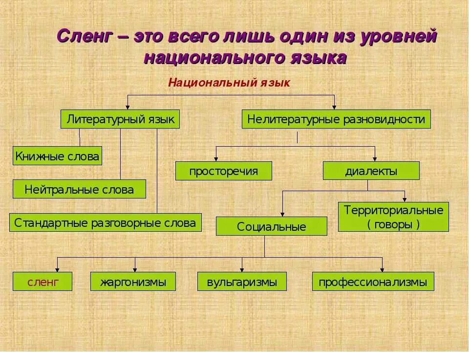 Национальный жаргон. Нелитературные и литературные формы. Национальный и литературный язык. Нелитературные разновидности национального языка. Национальный язык разновидности национального языка.