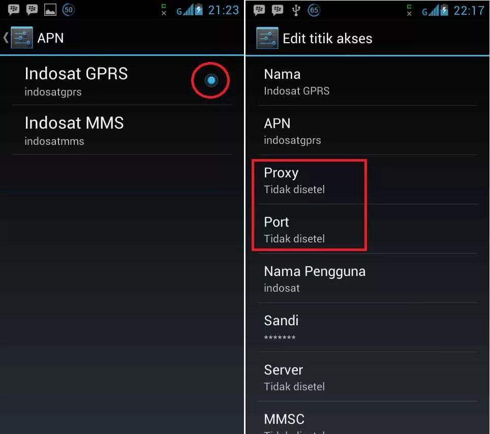 Apn mcs. Apn. тип apn. gprs настройка. как заполнить apn.
