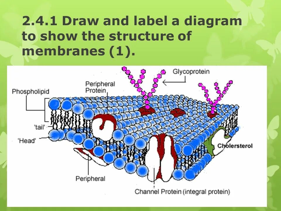 Label the diagram. Diagram labelling. labeled diagram. label the diagram it.