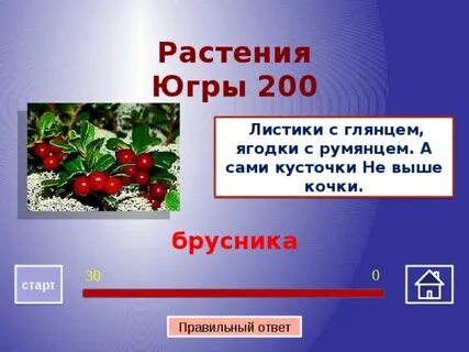 Растения югры