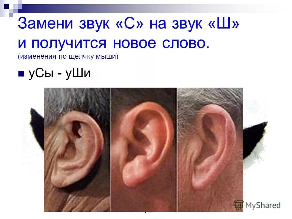 усы без фона. усы для детей. усы рисовать. картинка усов для детей. усы мультяшные.