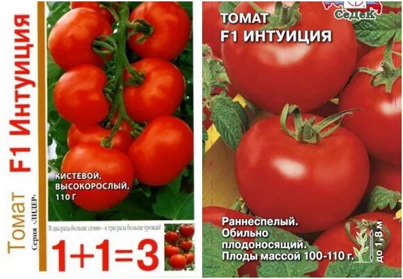 Сорт томатов интуиция отзывы. Томат интуиция f1 Гавриш 1+1. Сорт томата Евпатор. Помидор Евпатор f1. Томат интуиция Гавриш.