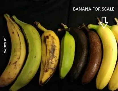 Some bananas