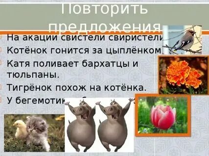 По пятам значение. По пятам значение