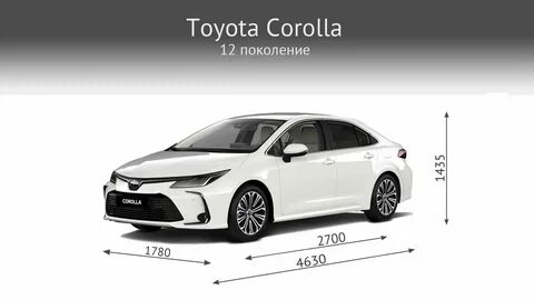 Размер королла 2019