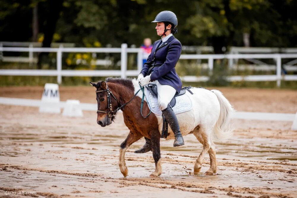 Тинкер выездка. Кск факт. Санкт петербург кск факт. Кск факт. Санкт петербург кск факт.