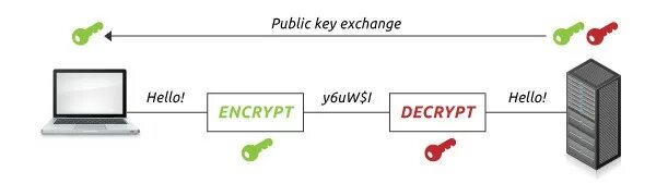 Https encrypted. SSL TSL. Https. SSL/TLS.. SSL Key Exchange. SSL decryption.