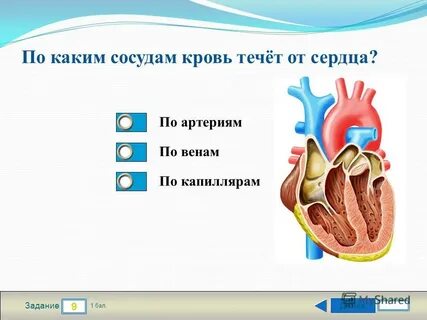 Сердце течет