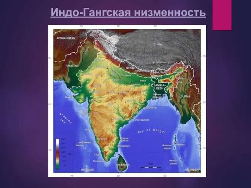 Где на контурной карте находится индоганская низменность. Индо-гангская низменность на карте полушарий. Индо-гангская низменность на карте. Индия нагорье декан. Где на контурной карте находится индоганская низменность.