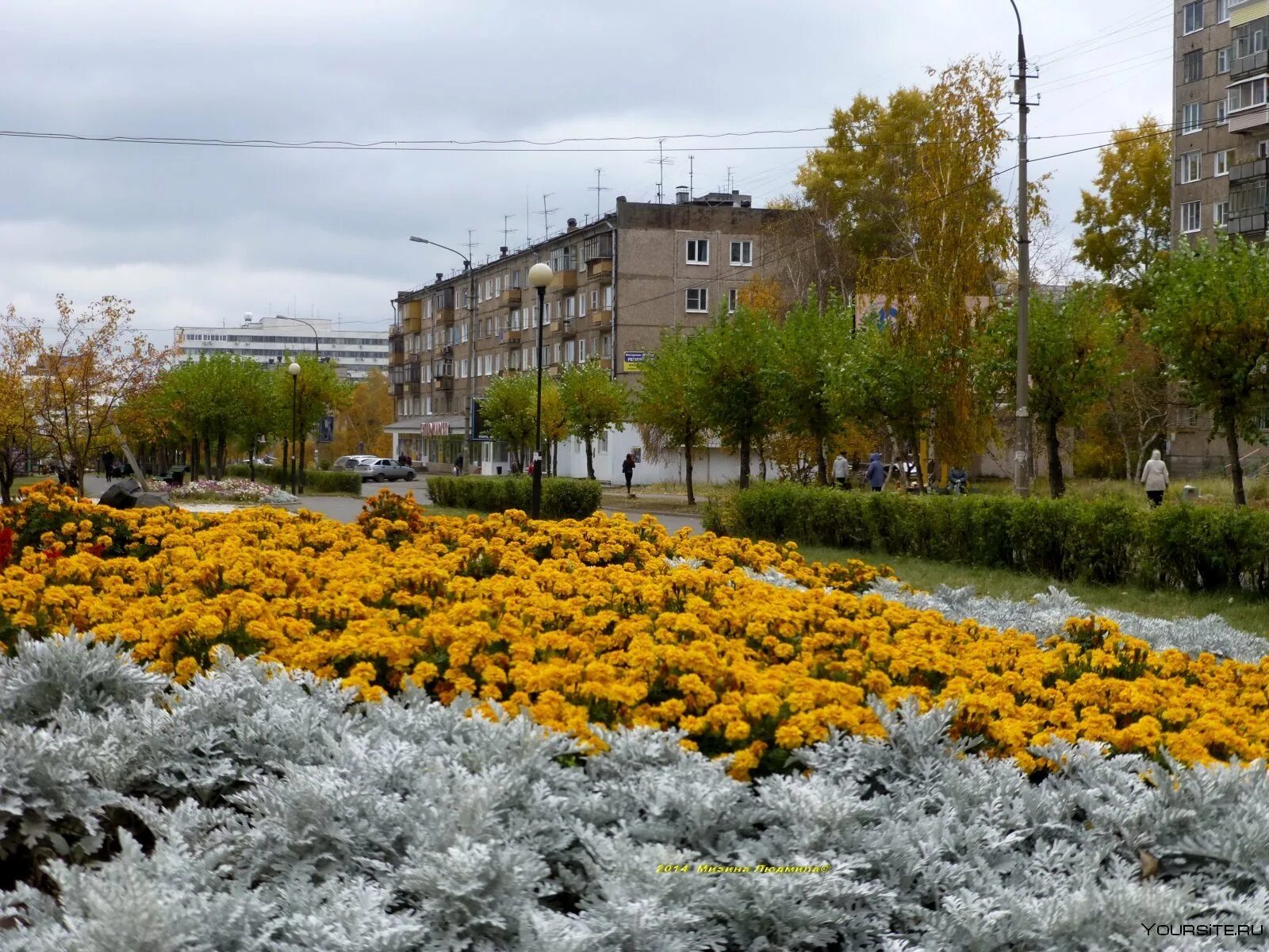 Погода в г братске. Братск город. Братск центр города лето. Братск Иркутская область. Кирова Братск сквер.