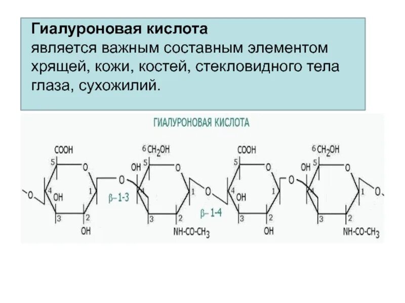 Составными частями кислот являются. Гиалуроновая кислота полисахарид. биологическая роль гиалуроновой кислоты. гиалуроновая кислота является основной составляющей. стекловидное тело гиалуроновая кислота.