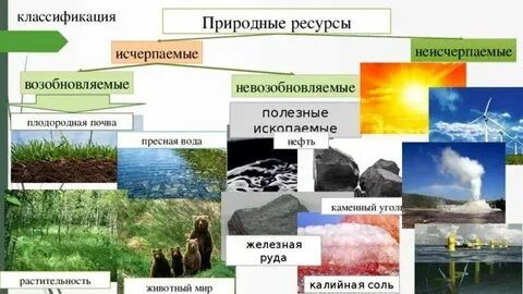 Что относится к пресным