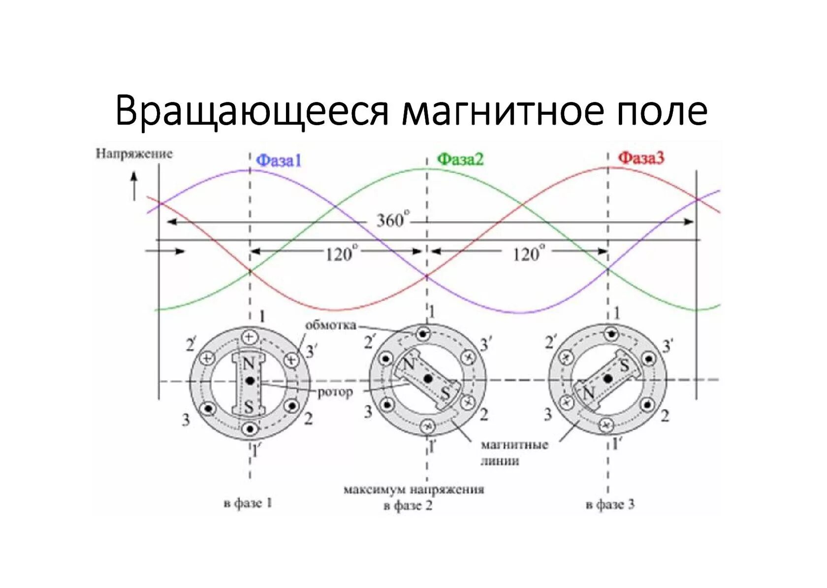 Трехфазный Генератор 380 вольт схема. Трёхфазное напряжение 380 вольт схема. Напряжение в трехфазной сети 380. Трехфазный ток 220 вольт схема. Состоит из четырех фаз