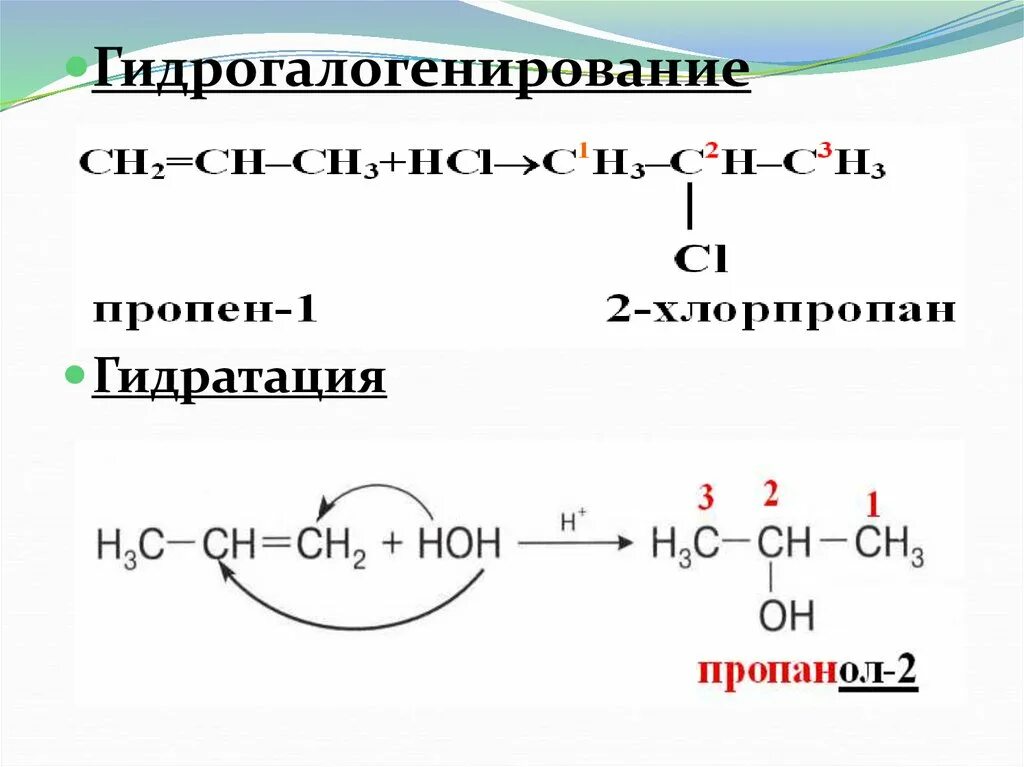 Хлорпропан пропен реакция. Гидрогалогенирование пропина. Гидратация пропена. Реакция гидратации пропена. Гидратация пропилена.