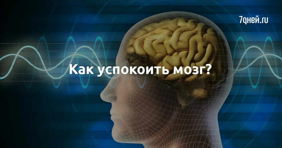 Brain 141. Успокоение мозга. Мозг успокоился. Картинки успокающие мозг. Успокой мозг.