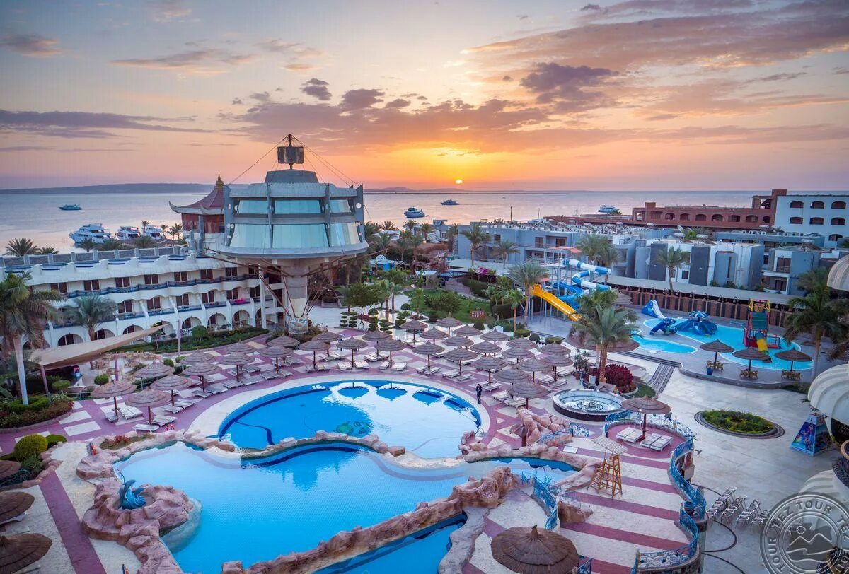 Отель Seagull Beach Resort Club 4. Отель Сигал Хургада. Египет,Хургада,Seagull Beach Resort. Sea Gull 4 Египет. Отель sea beach resort