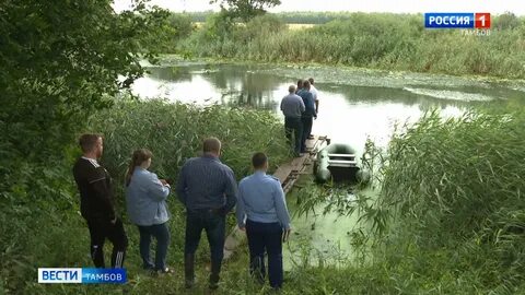 Мы ловили рыбу на битюге