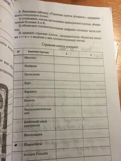 Заполните таблицу виды клеток