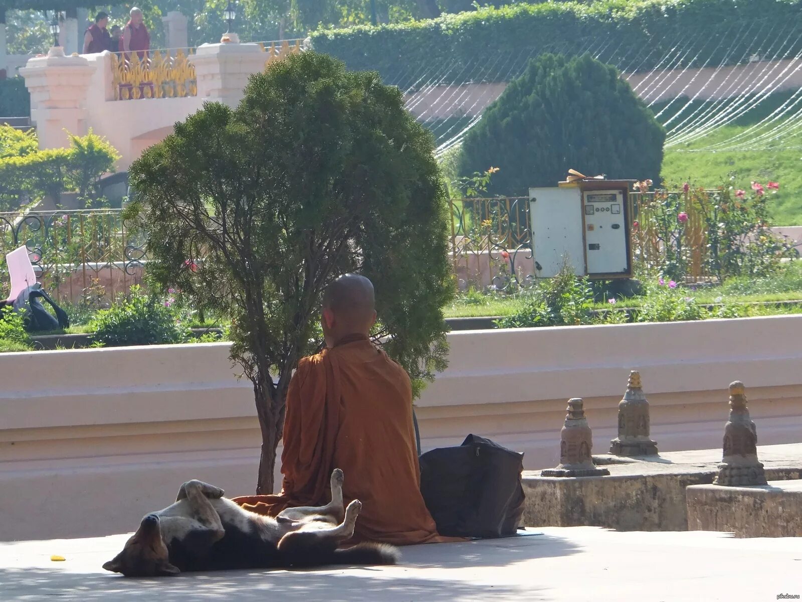 Почему индийские монахи делали посох многогранным. Буддийский монах. Индия монахи. Медитирующий монах с хвостиком.