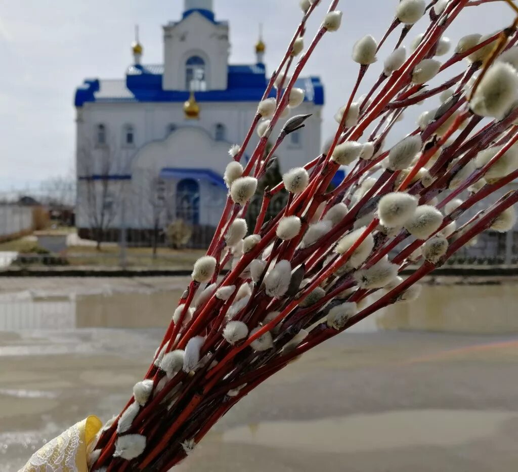 почта вербная 10 режим работы. почта вербная 10 режим работы. старополтавский район погода. 27. москва вербная улица на карте.