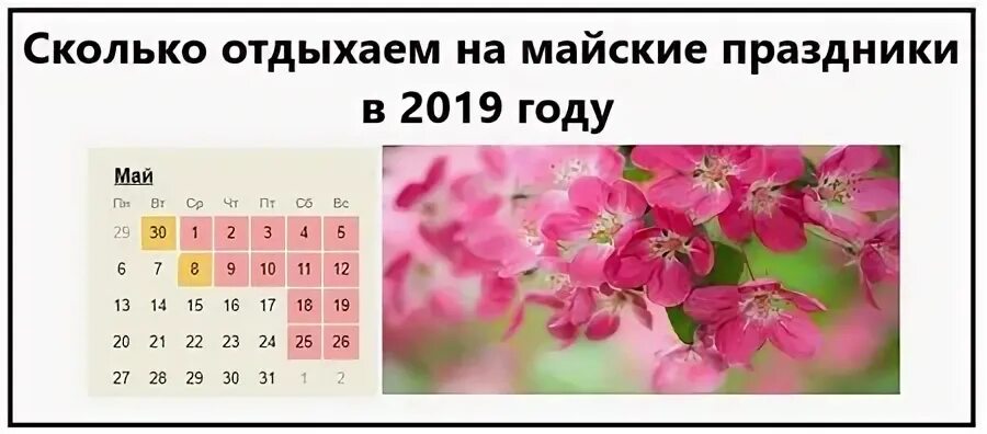 Через сколько лето без выходных и праздников. Отдыхаем на майские. График майских праздников. Отдых на майские праздники. Выходные на майские праздники.