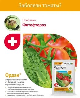 Ордан