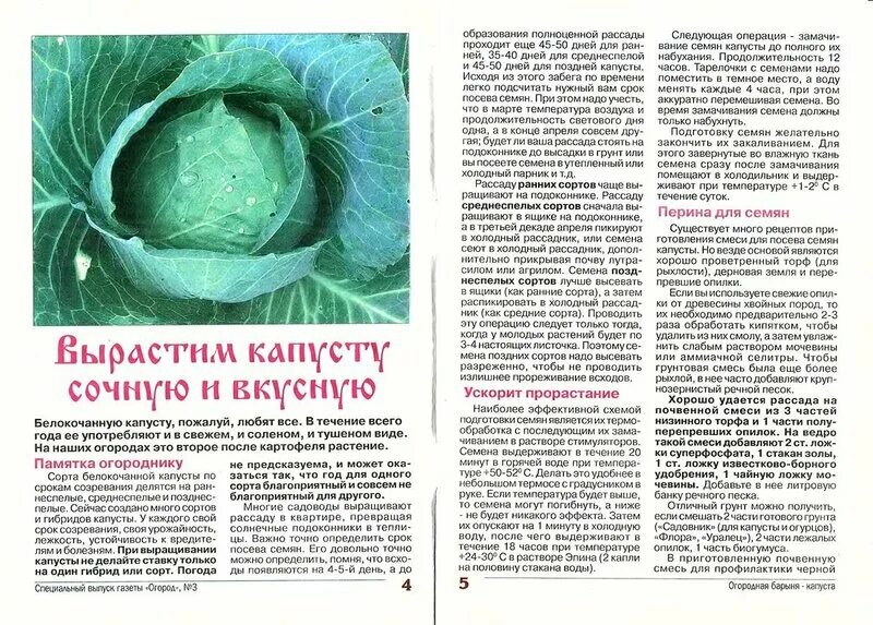 Капуста семена лучшие сорта для открытого грунта. Газета про огород. журнал огород капуста. газета сад и огород. семена капусты лучшие сорта для открытого грунта для хранения.