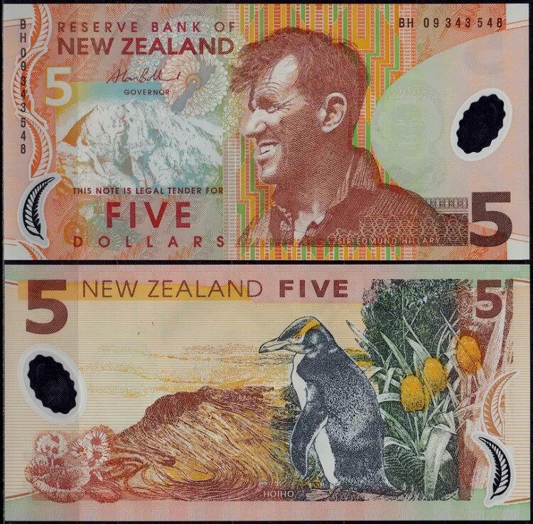 Новые 5 долларов. Банкнота новой Зеландии. Новозеландские банкноты. Новозеландский доллар купюры. 5 Новозеландских долларов.