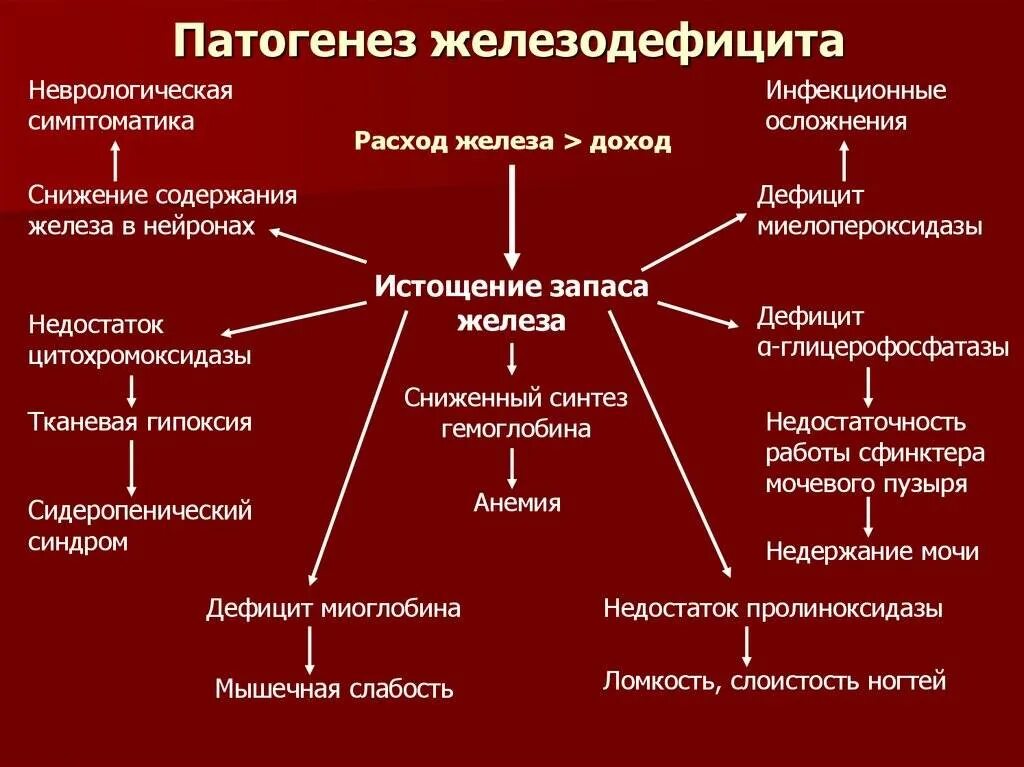 Факторы развития анемий. Патогенез железодефицитной анемии. Схема патогенеза анемий. Патогенез железодефицитной анемии терапия. Патогенез железодефицитной анемии патофизиология.