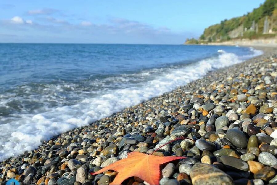 Вода в сочи в октябре. Сочи Лазаревское пляж. Субтропики в Лазаревском. Сочи Лазаревское осенью. Камни в Лазаревском на пляже.