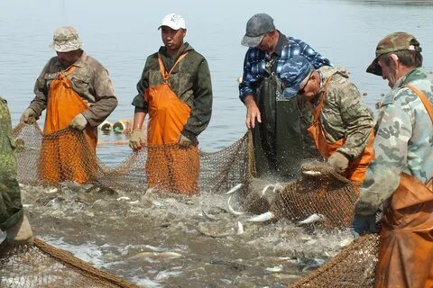 Ест астраханская область