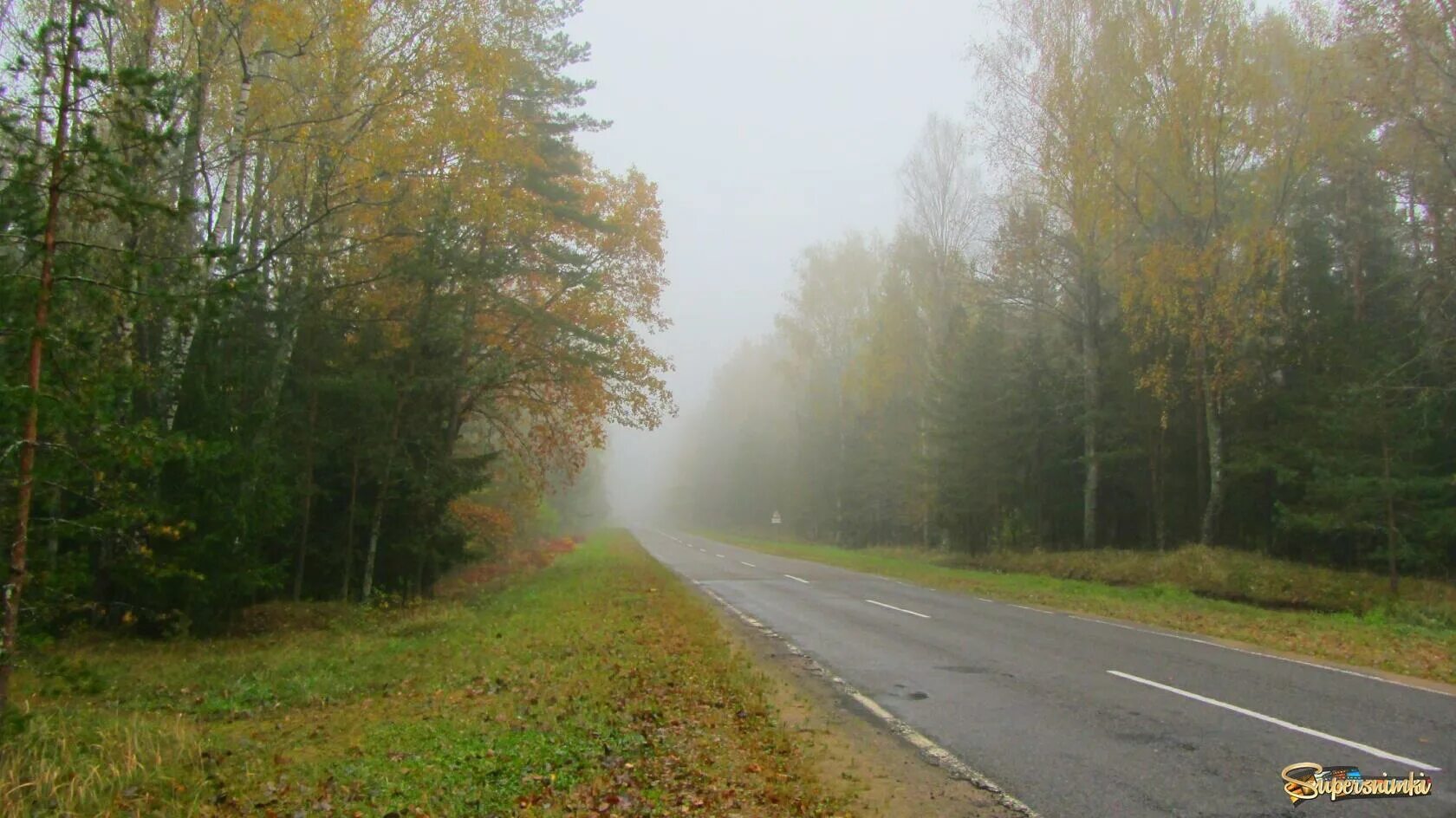 Трасса орша лепель состояние. Трасса м1 беларусь. Трасса м1 граница с белоруссией. Трасса орша. Трасса орша лепель.