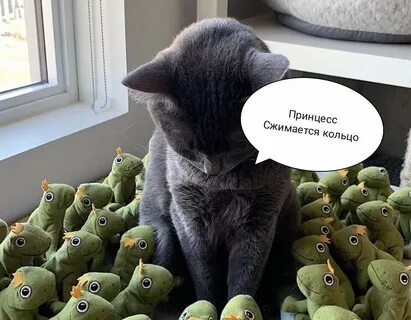 Окружить добрым вниманием