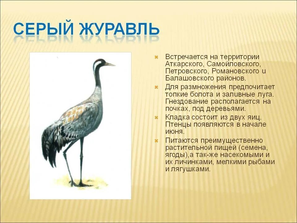 Краткое содержание журавли