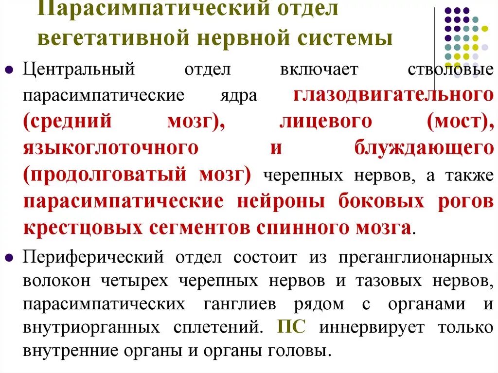 Строение парасимпатического отдела вегетативной нервной системы. Строение парасимпатического отдела нервной системы. Вегетативная нервная система центральные отделы парасимпатическая. Строение парасимпатического отдела ВНС. Функции высшей нервной системы